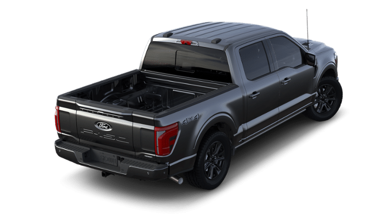 2024 Ford F-150 Vehicle Photo in Terrell, TX 75160